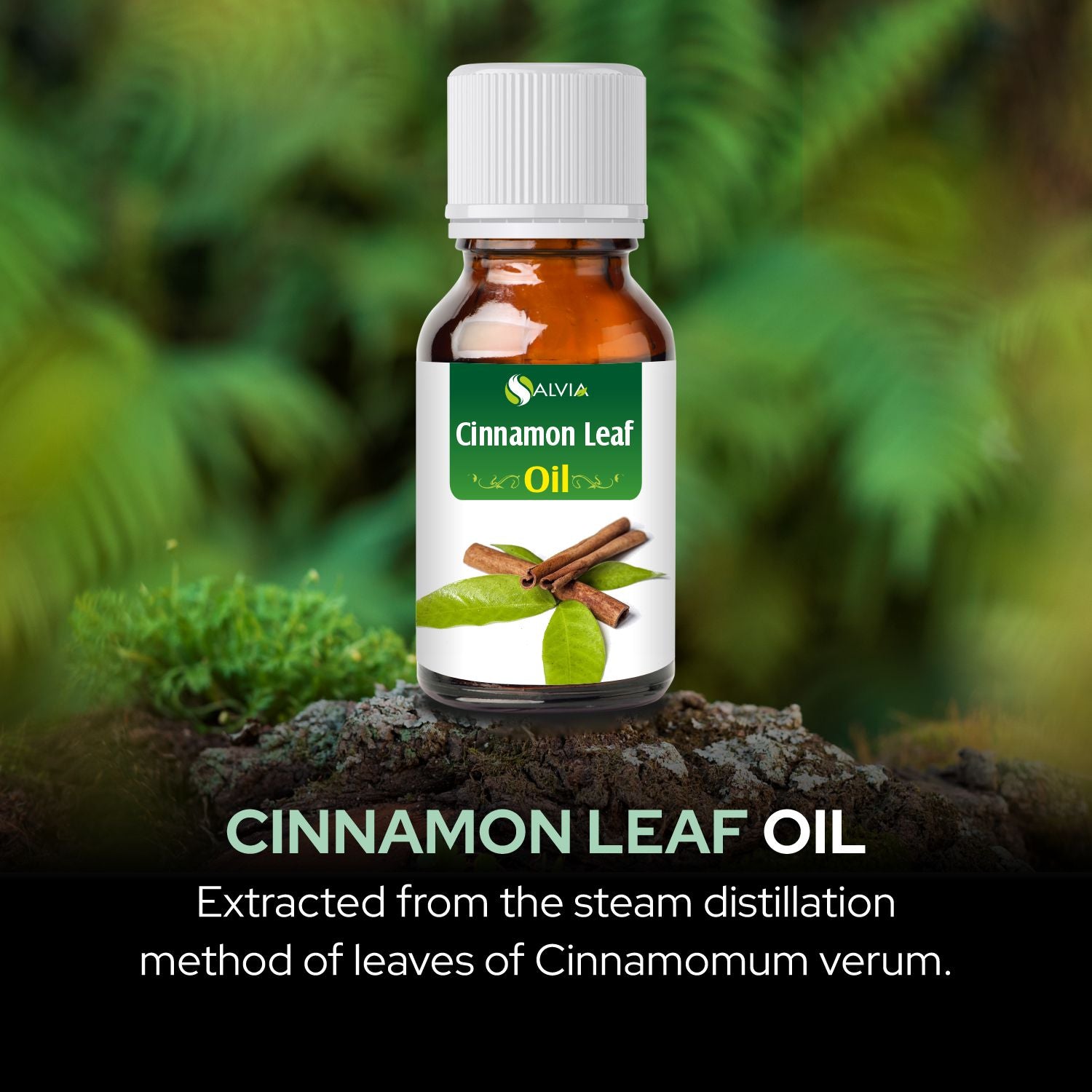 Salvia Natural Essential Oils,Dandruff,Greasy Oil,Anti Fungal,Anti-fungal Oil,Oil for Greasy Hair Cinnamon Leaf Oil Salvia Natural Essential Oils,Dandruff,Greasy Oil,Anti Fungal,Anti-fungal Oil,Oil for Greasy Hair Cinnamon Leaf Oil